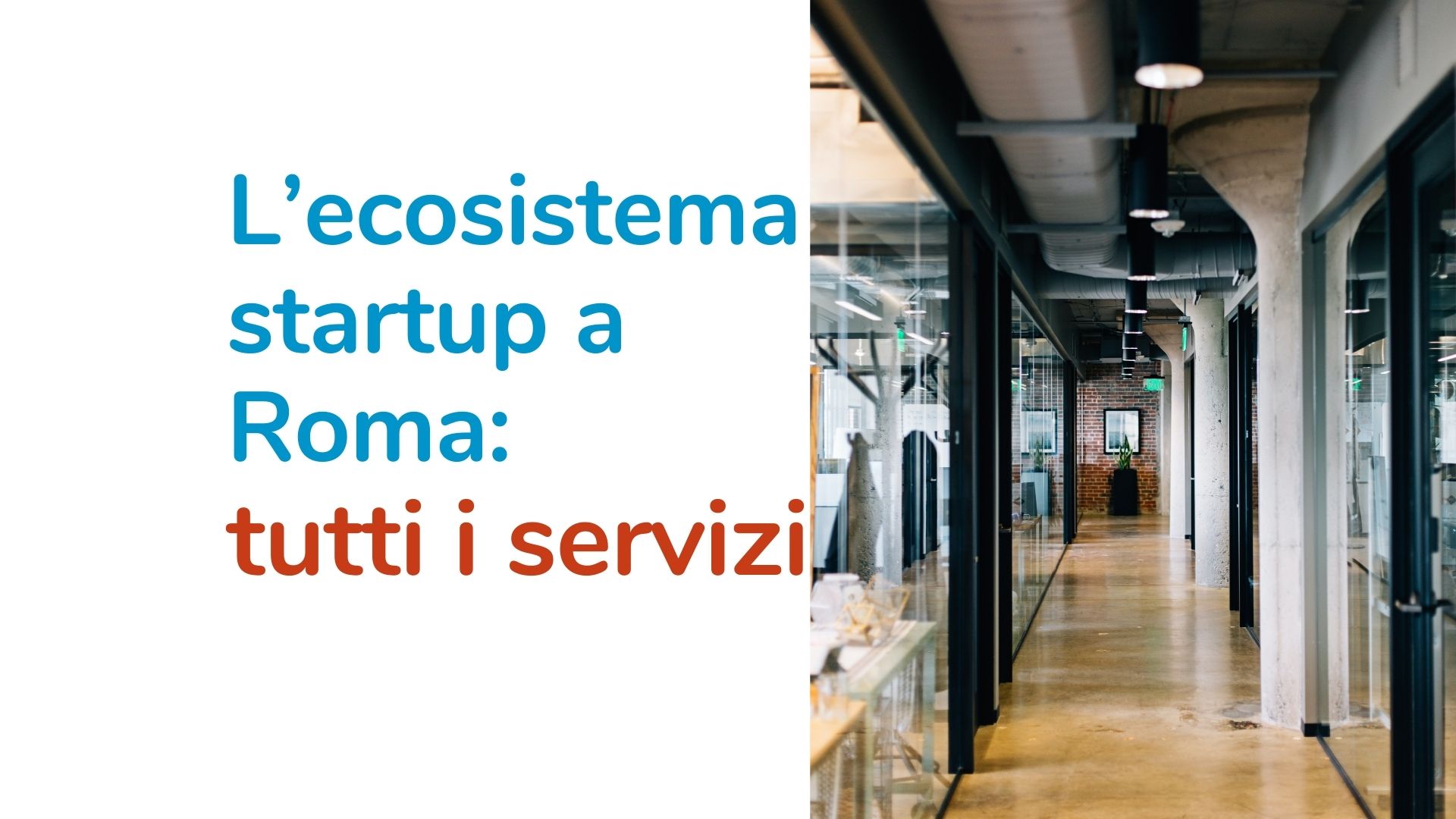 L’ecosistema startup a Roma: tutti i servizi